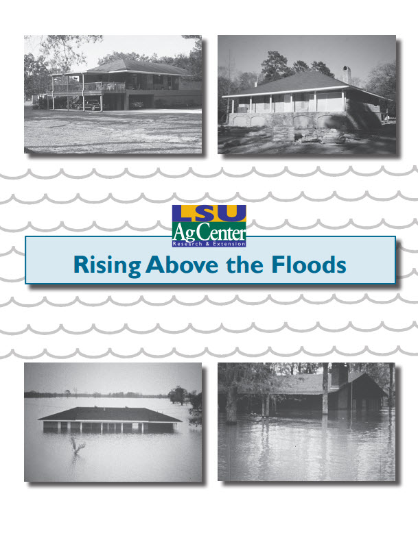 Disaster Information